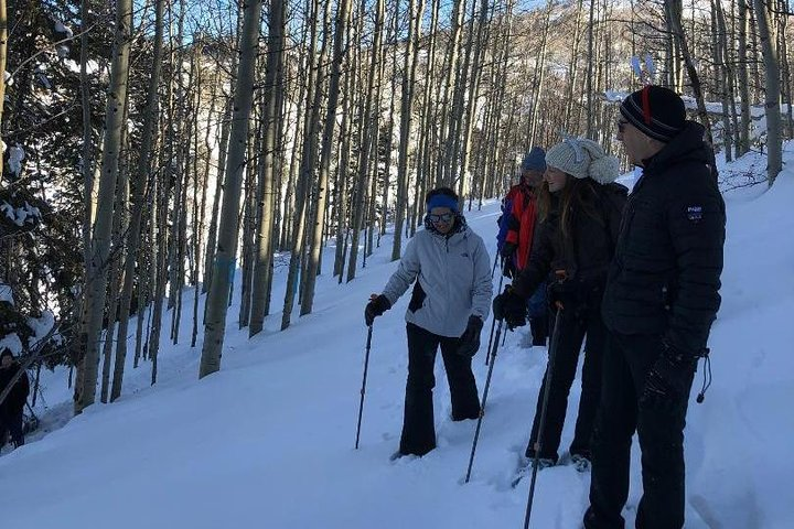 Private Park City Snowshoe Excursions (9:30am/12:30pm start time) - Photo 1 of 7